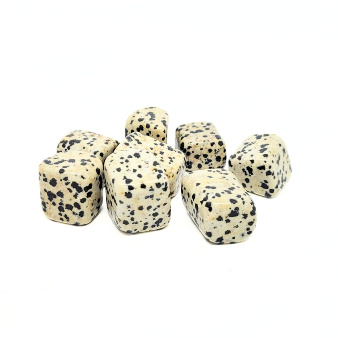 Dalmatian Jasper - Embrace Joy, Break Barriers, and Rectify Injustices