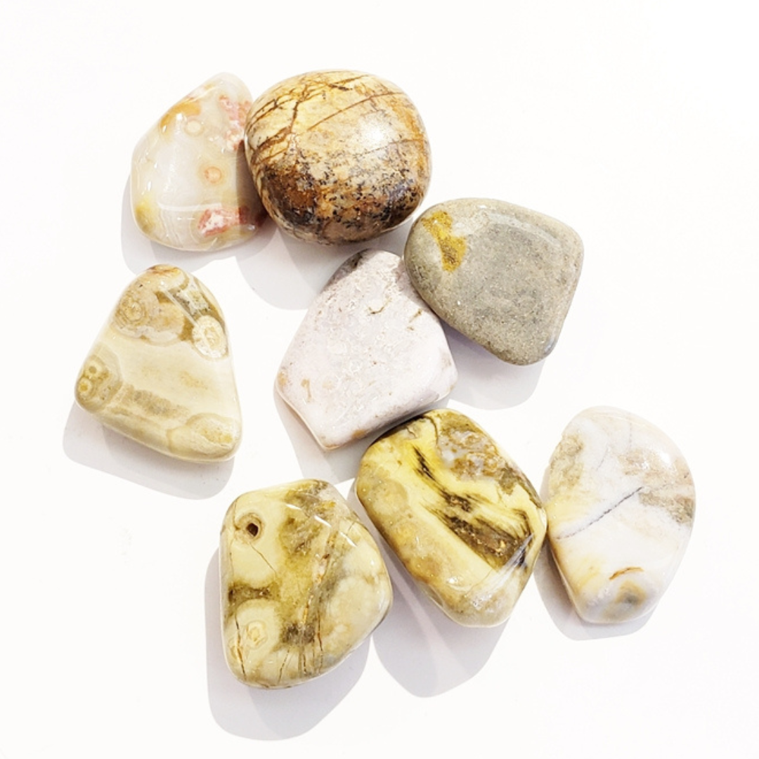 Orbicular Jasper - Patience and Responsibility