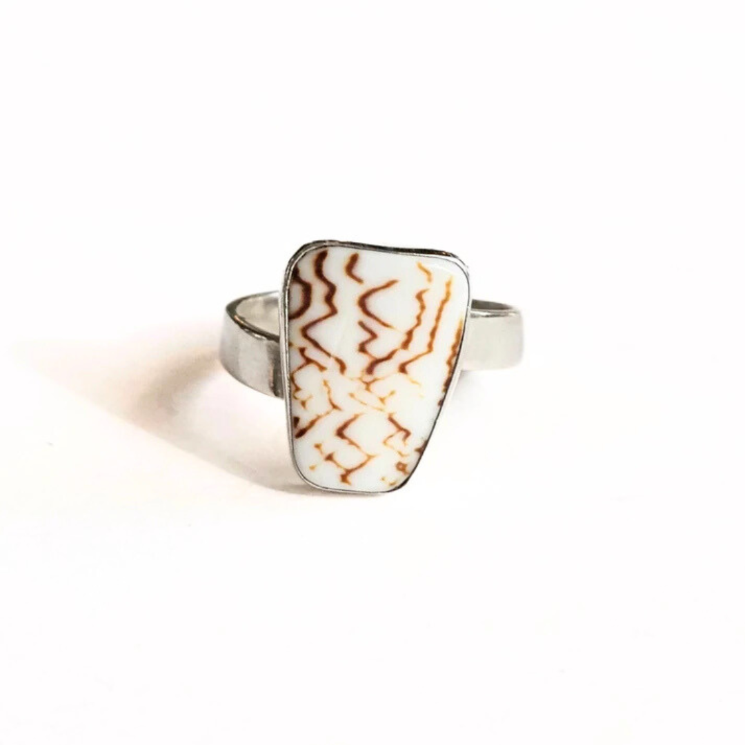 Sea Shell Ring – Sz 10
