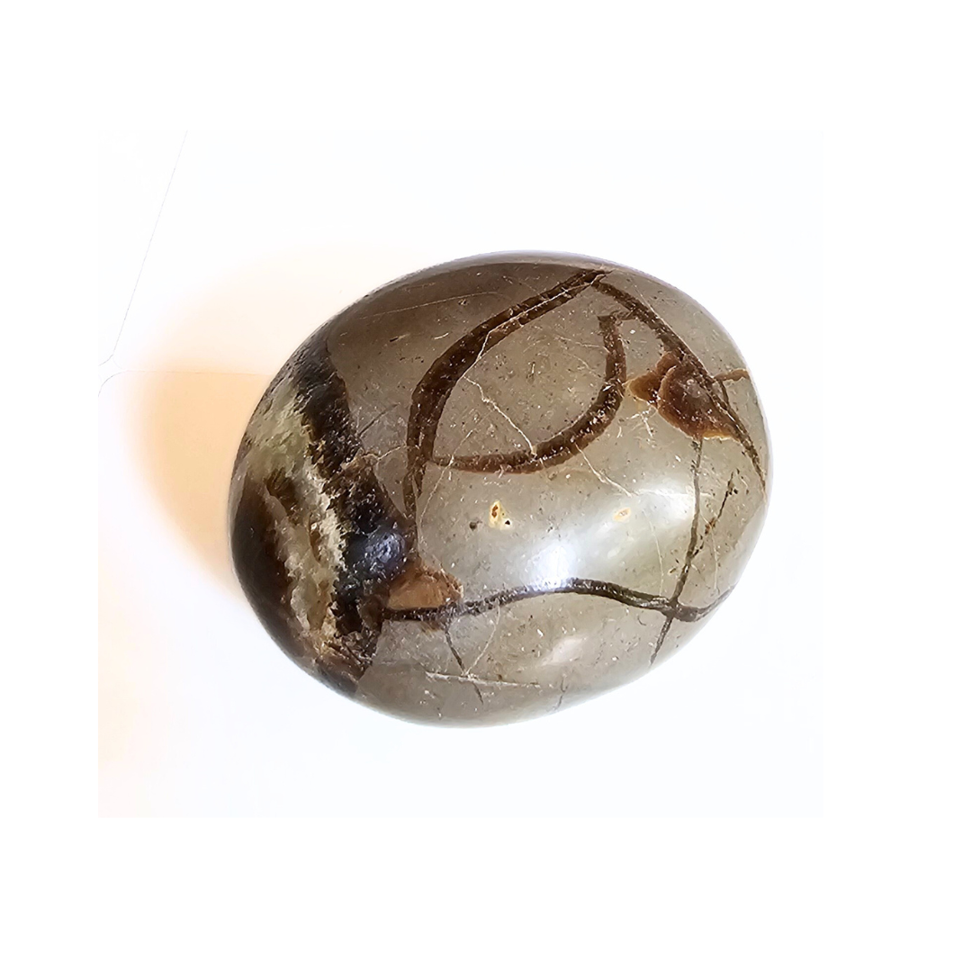 Septarian Nodule Palm Stone – Grounding, Confidence & Communication