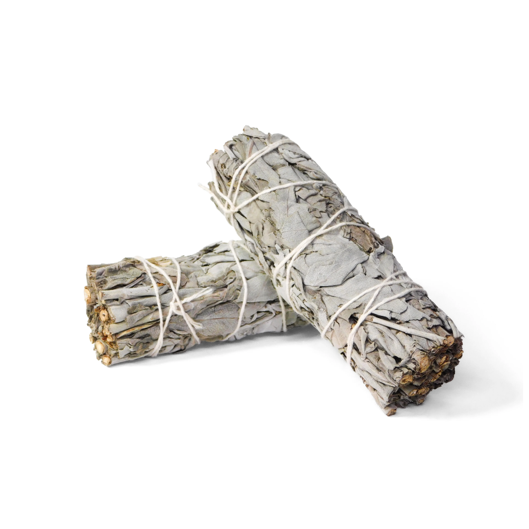 White Sage Smudge Stick