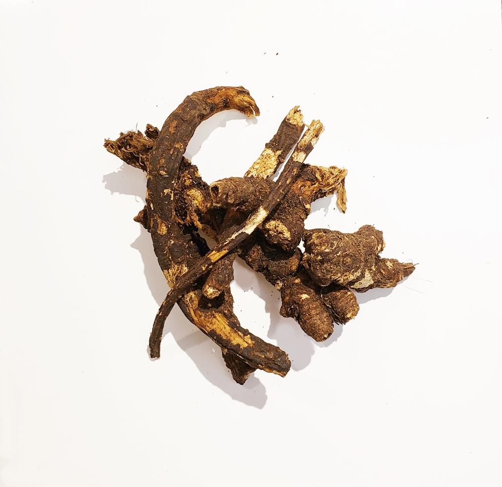 Osha Root (Bear Root) - Nature’s Sacred Breath