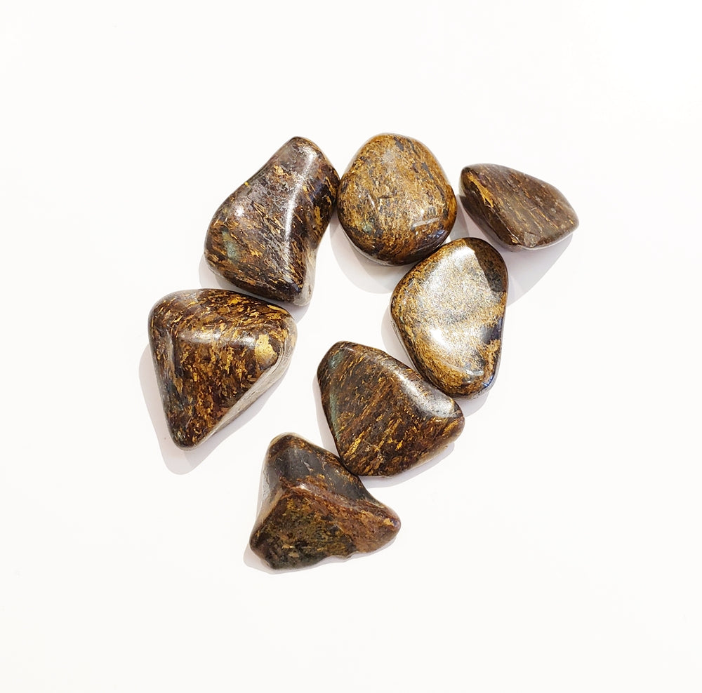 Bronzite - Courtesy and Balanced Discernment