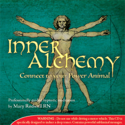 Inner Alchemy - Connect to your Power Animal