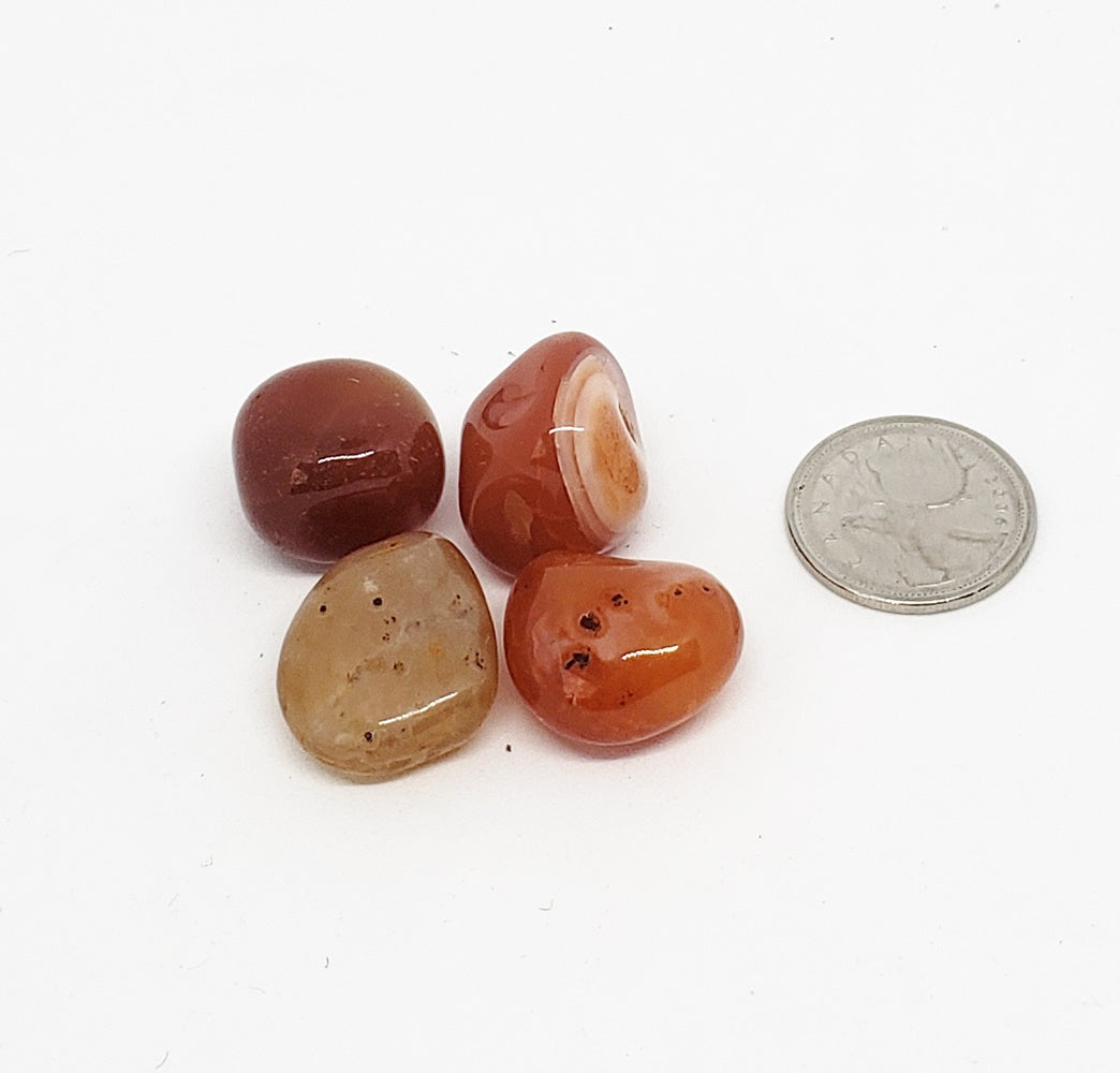 Carnelian Radiance Gifts