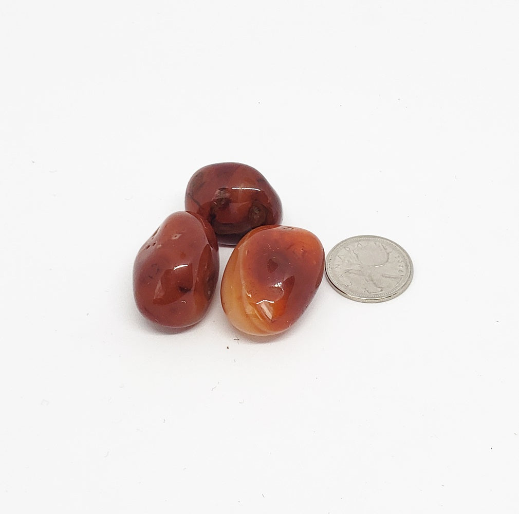 Carnelian - Vitality and Manifestation