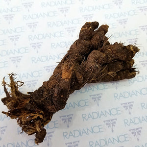 Osha Root - Bear Root