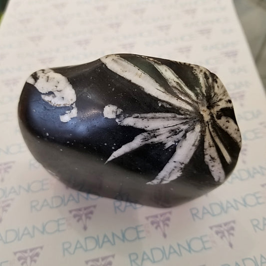 Chrysanthemum Stone