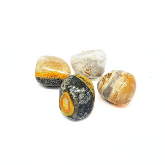 Bumblebee Jasper - Embrace Change and Opportunity