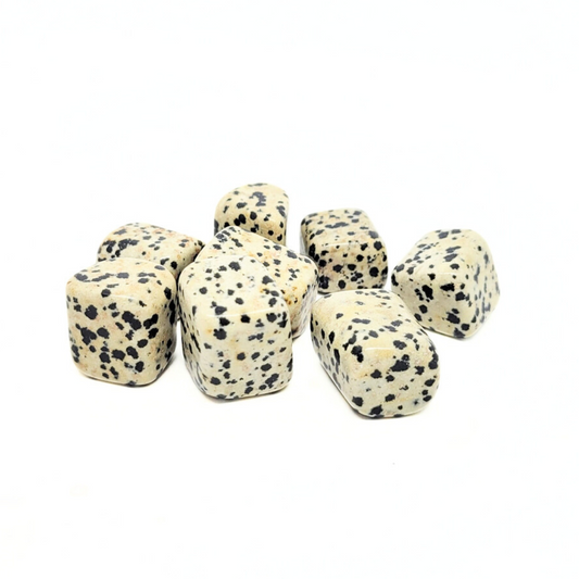 Dalmatian Jasper - Embrace Joy, Break Barriers, and Rectify Injustices