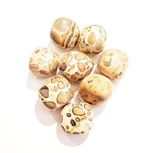 Leopardskin Jasper - Balance and Strength Within