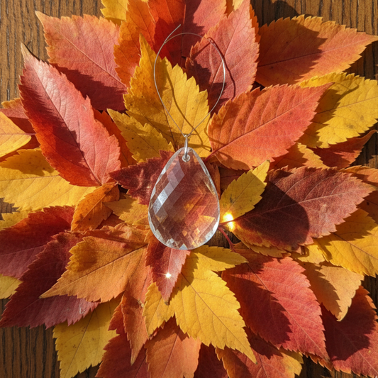 Clear Crystal Multi-Faceted Twisted Oval Prism