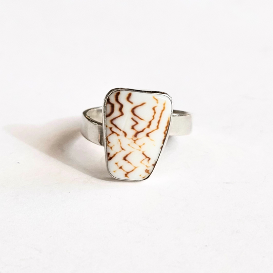 Sea Shell Ring – Sz 10