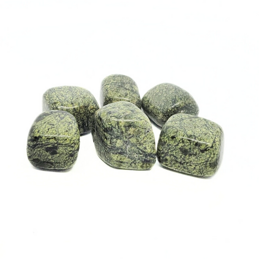 Snakeskin Jasper - Embrace Change and Creativity