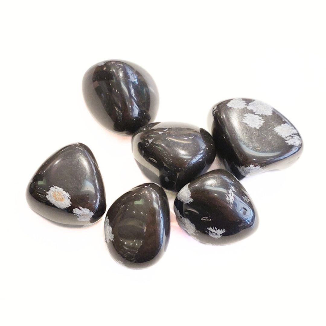 Snowflake Obsidian - From Victim to Victor