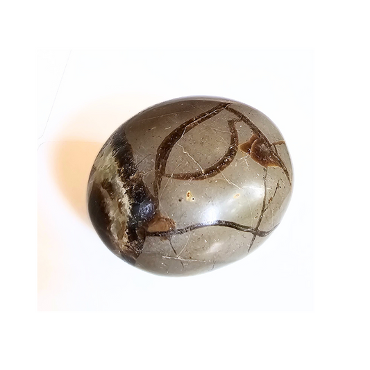 Septarian Nodule Palm Stone – Grounding, Confidence & Communication