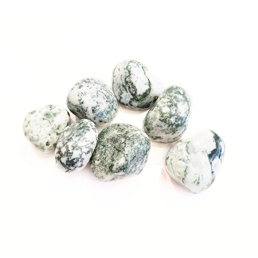 Tree Agate - Calm and Tranquility