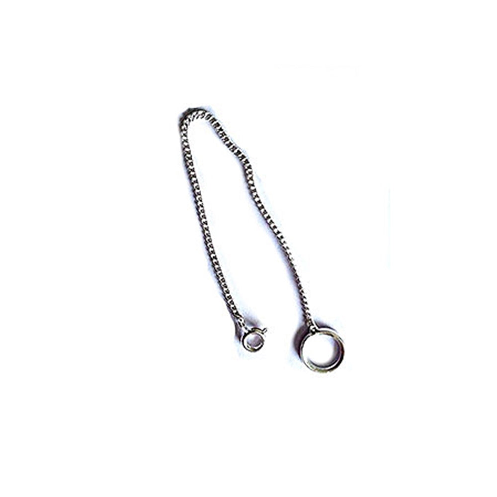Pendulum Chain with Ring and Jump Clasp
