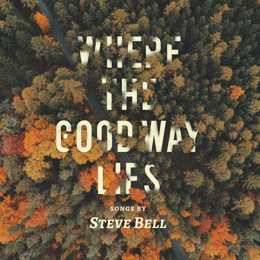 Where the Good Way Lies - Steve Bell