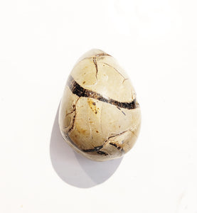 Black Septarian Egg with Druze