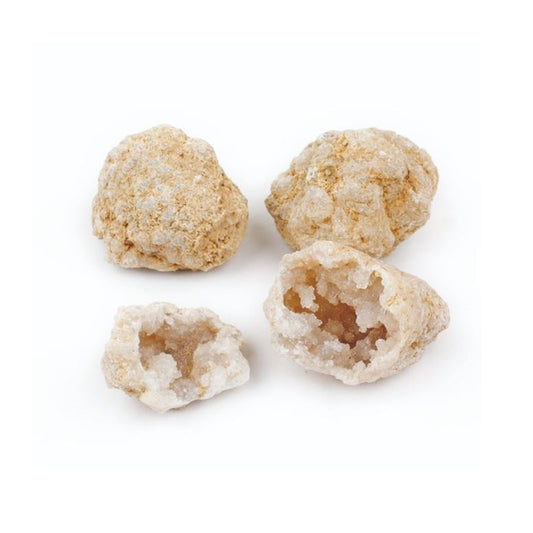 Discovery Geodes