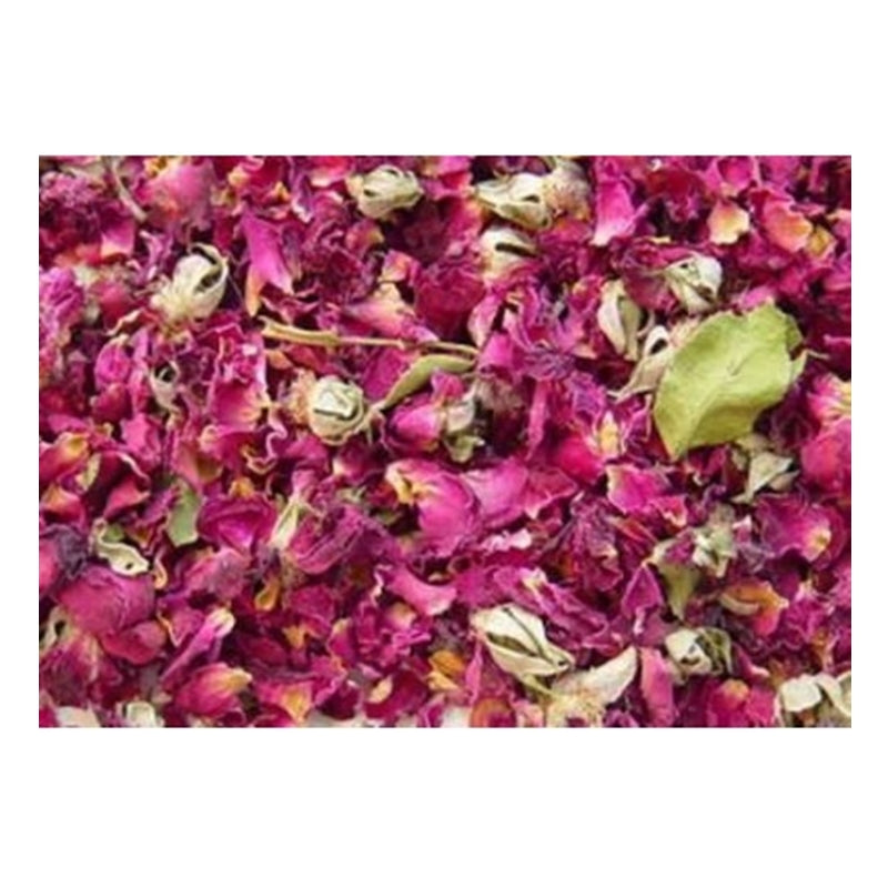 Moroccan Red Rose Buds