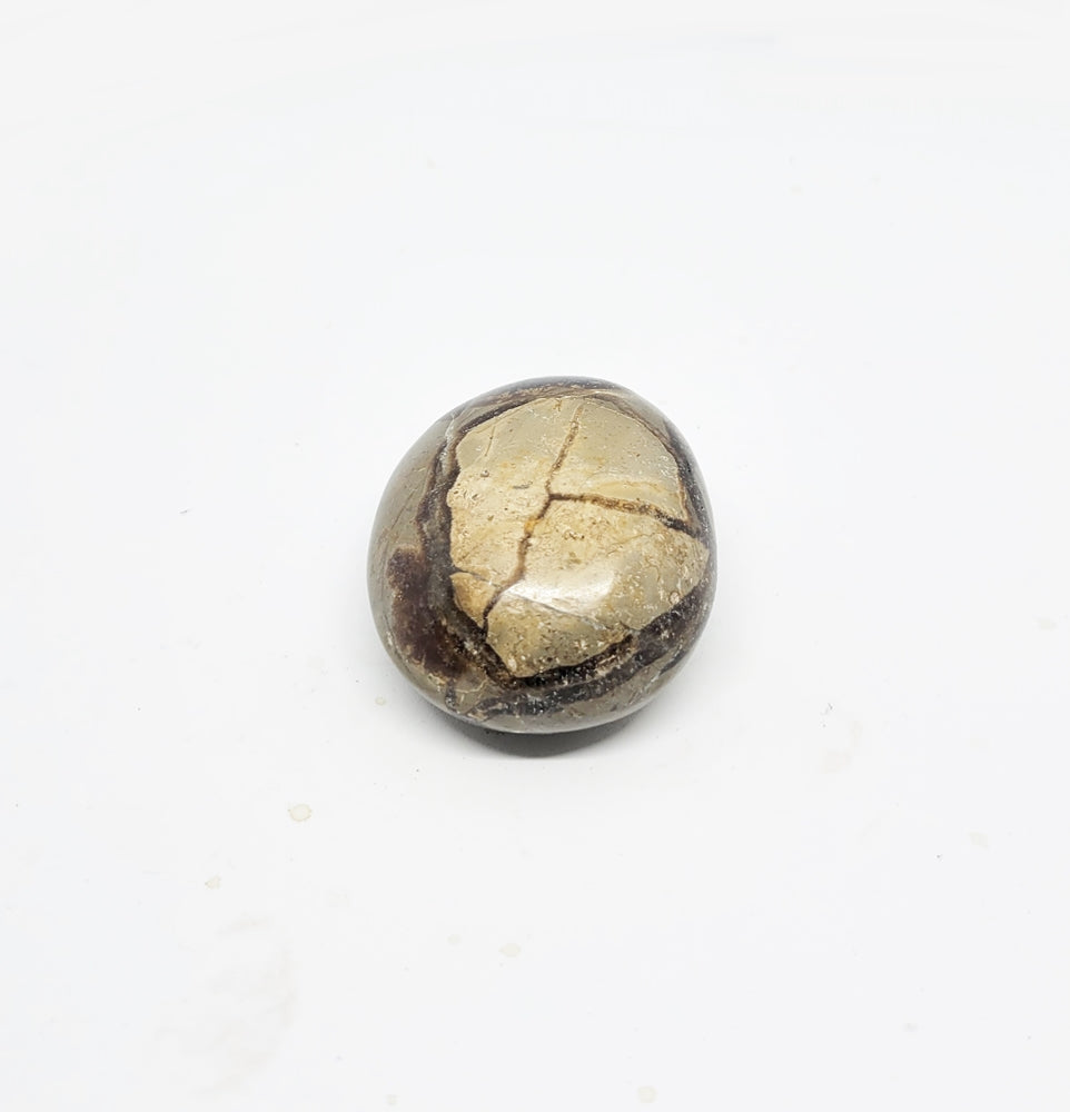 Septarian Nodule Palmstone