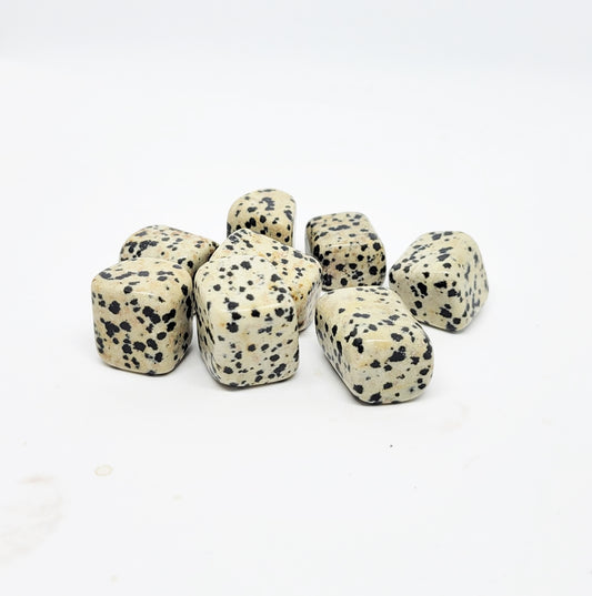 Dalmatian Jasper